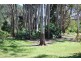 53 Sherwood Creek Road, Glenreagh NSW 2450