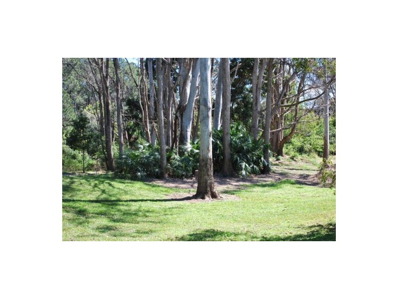 53 Sherwood Creek Road, Glenreagh NSW 2450