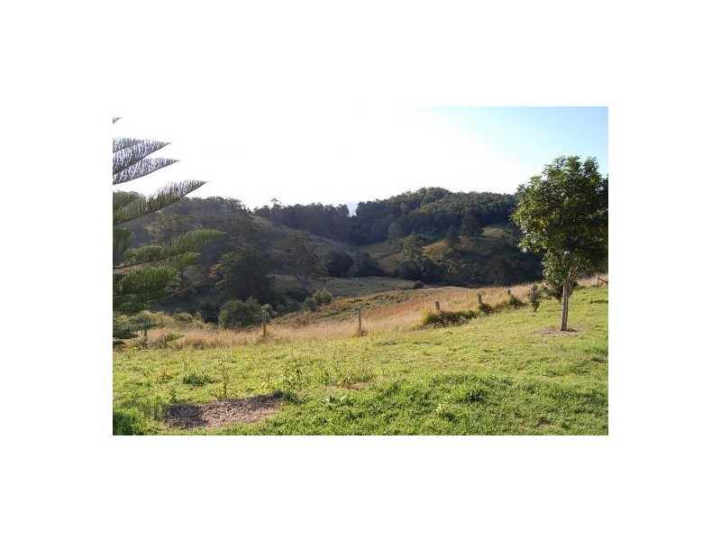 521 Greenhills Rd, Taylors Arm NSW 2447