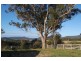 521 Greenhills Rd, Taylors Arm NSW 2447