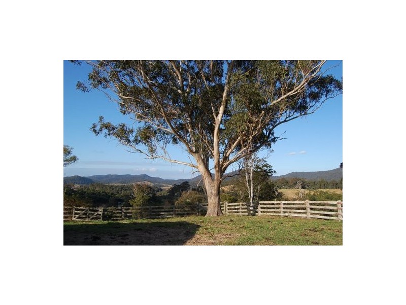 521 Greenhills Rd, Taylors Arm NSW 2447