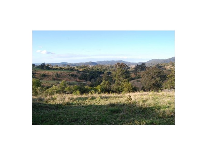 521 Greenhills Rd, Taylors Arm NSW 2447