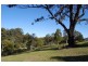 151 Newee Creek Rd, Newee Creek NSW 2447