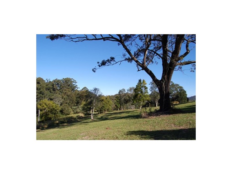 151 Newee Creek Rd, Newee Creek NSW 2447