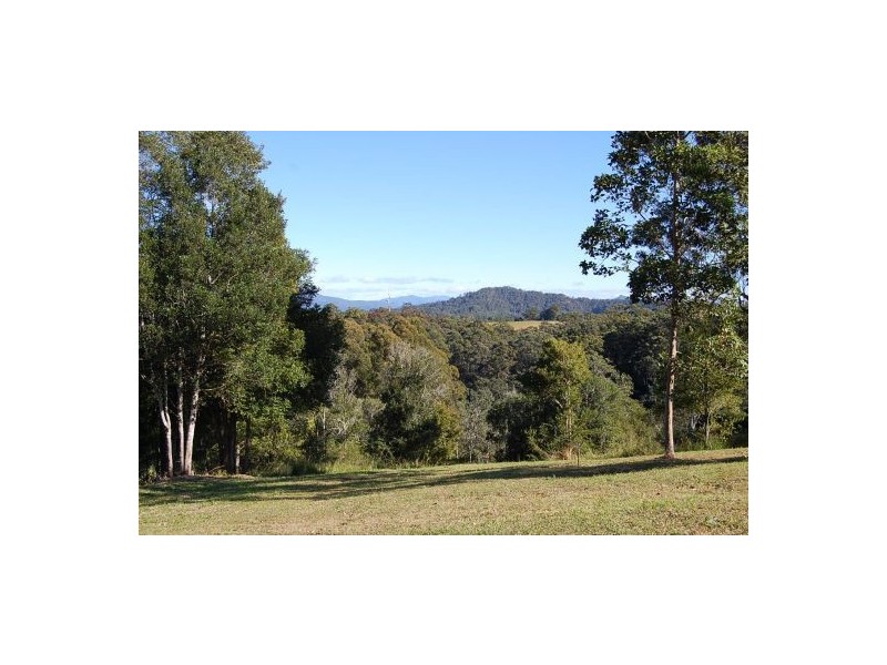 151 Newee Creek Rd, Newee Creek NSW 2447