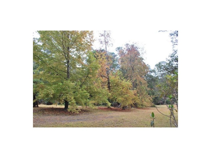 132 Mole Creek Road, Lowanna NSW 2450