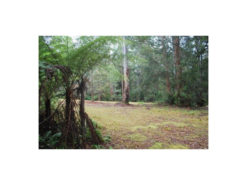 132 Mole Creek Road, Lowanna NSW 2450