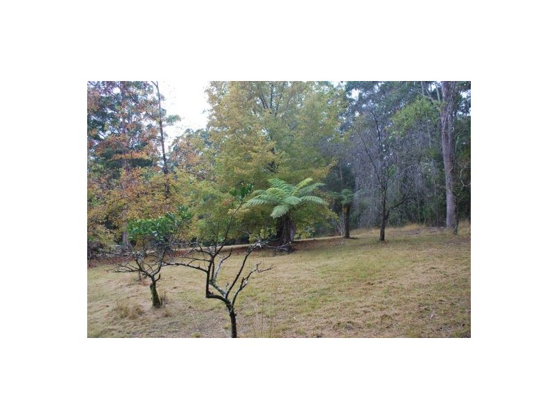 132 Mole Creek Road, Lowanna NSW 2450