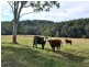 Lot 12 Mole Creek Road, Lowanna NSW 2450