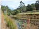 Lot 12 Mole Creek Road, Lowanna NSW 2450