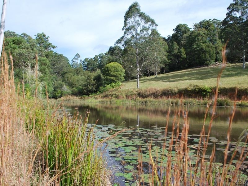 Lot 12 Mole Creek Road, Lowanna NSW 2450