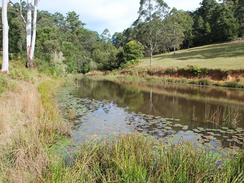 Lot 12 Mole Creek Road, Lowanna NSW 2450