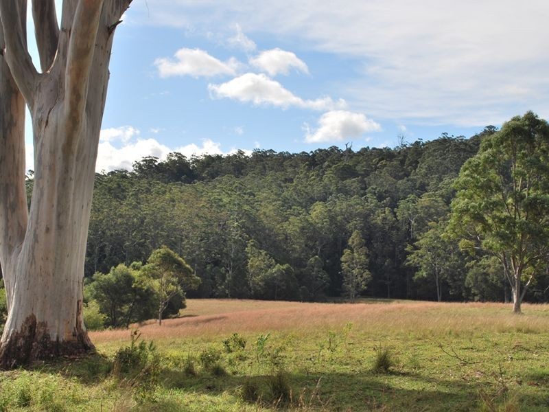 Lot 12 Mole Creek Road, Lowanna NSW 2450