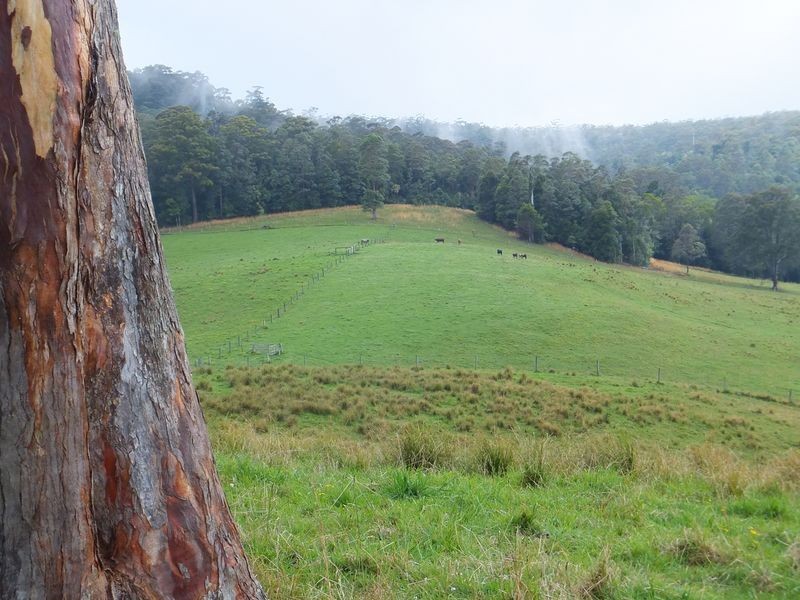 200 Camp Creek Road, Lowanna NSW 2450