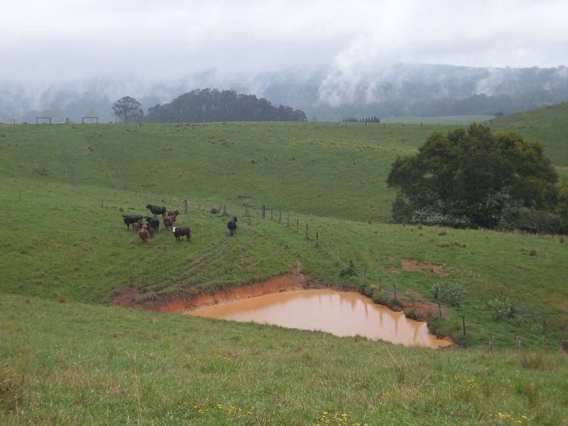 200 Camp Creek Road, Lowanna NSW 2450