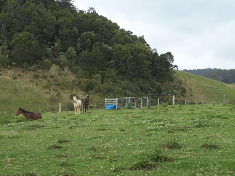 200 Camp Creek Road, Lowanna NSW 2450