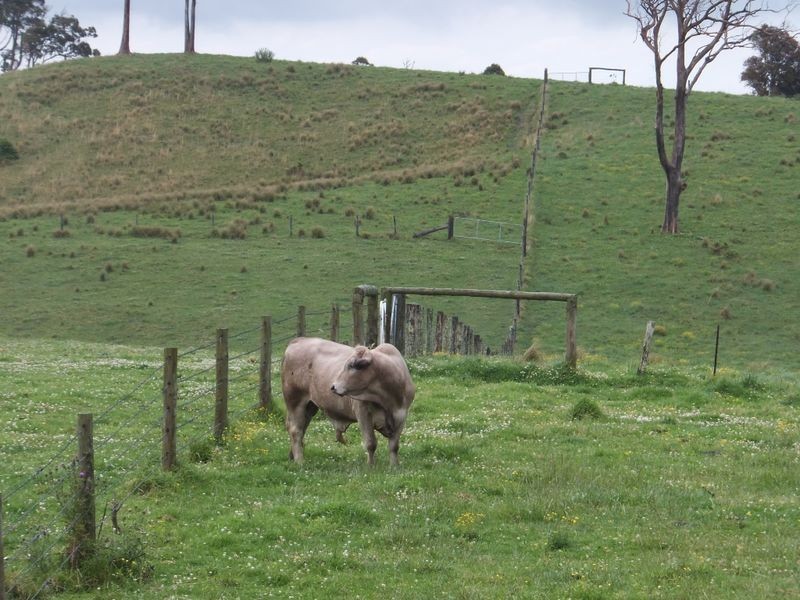 200 Camp Creek Road, Lowanna NSW 2450