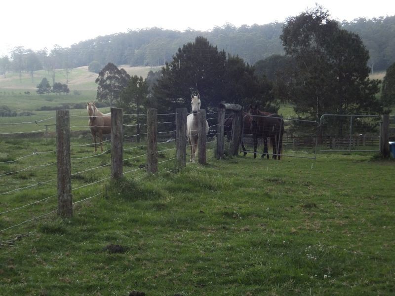 200 Camp Creek Road, Lowanna NSW 2450