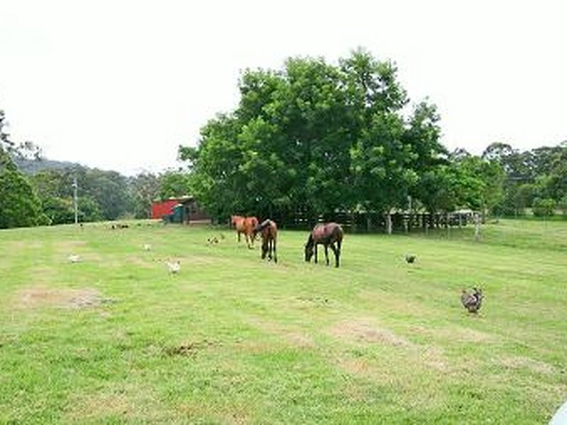 53 Burkes Lane, Valla NSW 2448