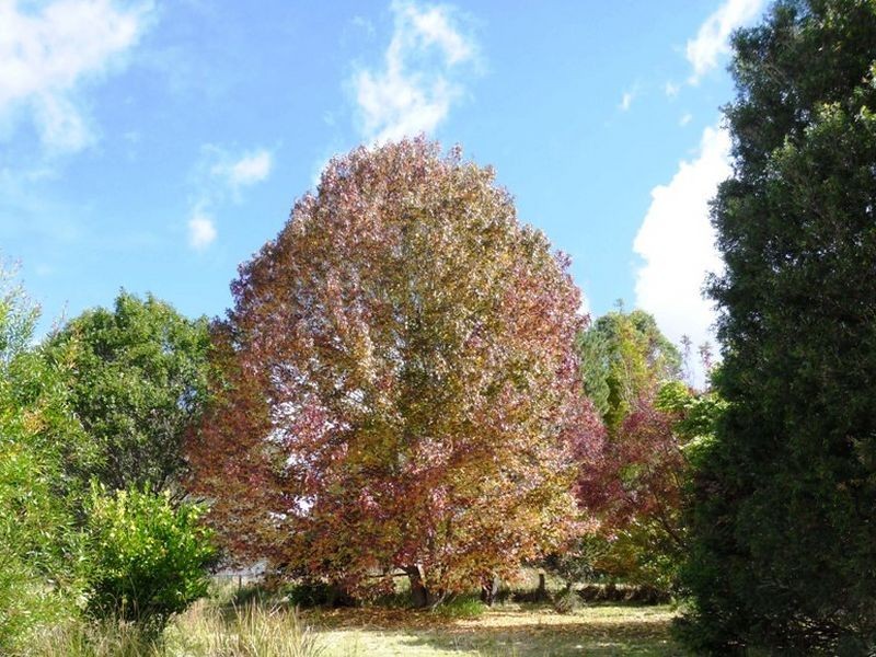 886 Camp Creek Road, Lowanna NSW 2450