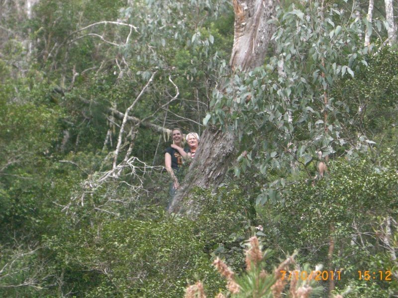 886 Camp Creek Road, Lowanna NSW 2450