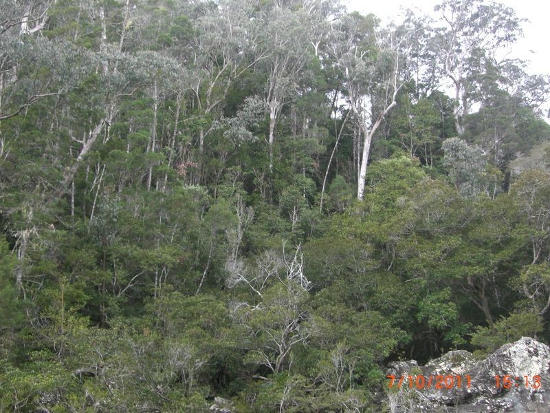 886 Camp Creek Road, Lowanna NSW 2450