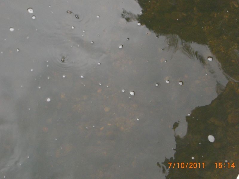 886 Camp Creek Road, Lowanna NSW 2450