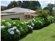 230 Timmsvale Road, Ulong NSW 2450