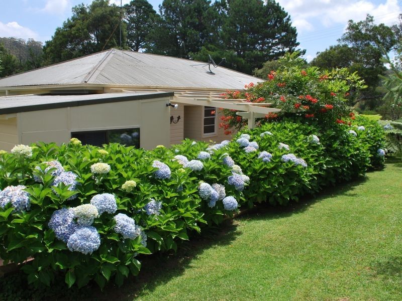 230 Timmsvale Road, Ulong NSW 2450