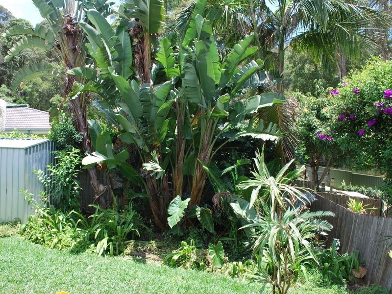 158a Linden Avenue, Boambee East NSW 2452