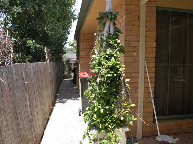 158a Linden Avenue, Boambee East NSW 2452