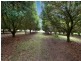 10 Osprey Drive, Urunga NSW 2455