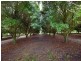 10 Osprey Drive, Urunga NSW 2455