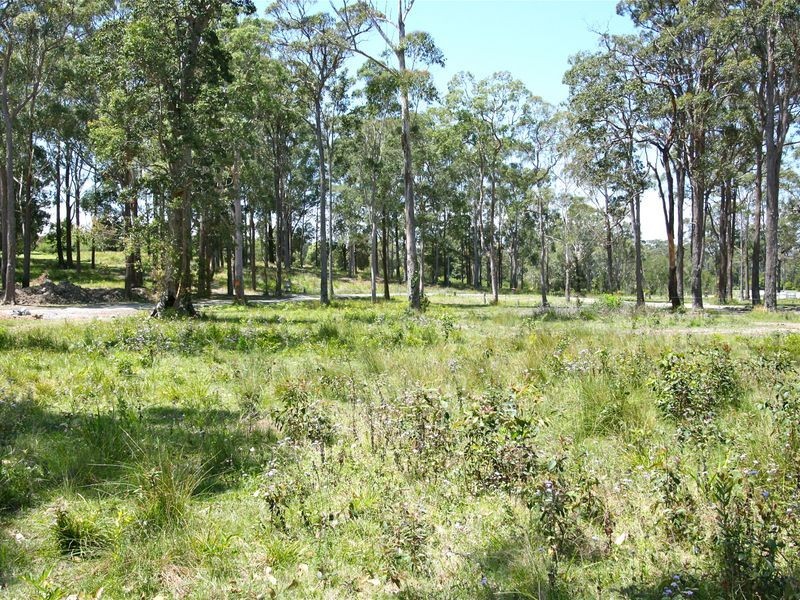 4 Bee Close, Moonee Beach NSW 2450