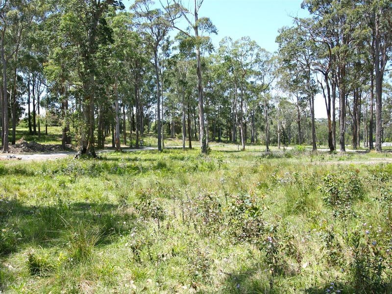 4 Bee Close, Moonee Beach NSW 2450