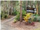 2749 Waterfall Way Thora, Bellingen NSW 2454