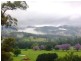 2749 Waterfall Way Thora, Bellingen NSW 2454
