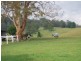 603 Orara Way, Nana Glen NSW 2450