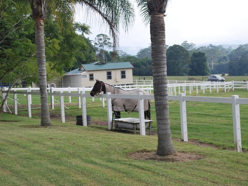 603 Orara Way, Nana Glen NSW 2450
