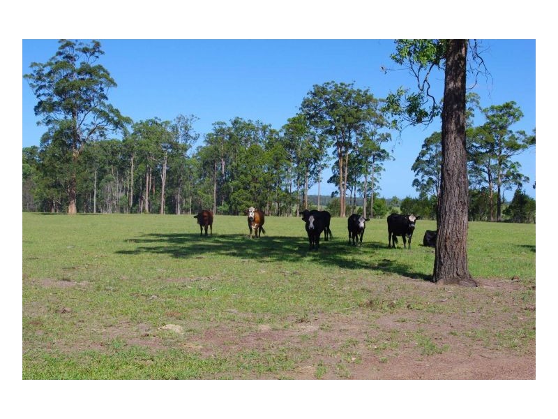 11 Innes Lane, Melinga NSW 2430