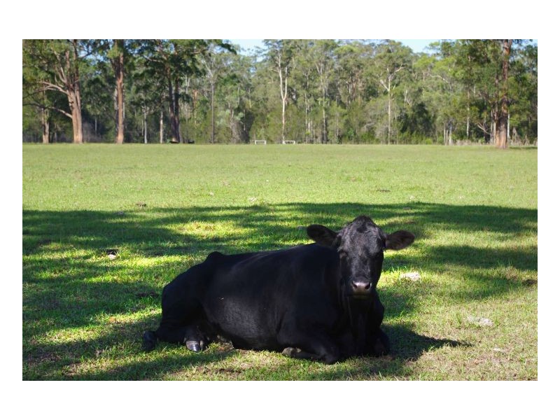 11 Innes Lane, Melinga NSW 2430