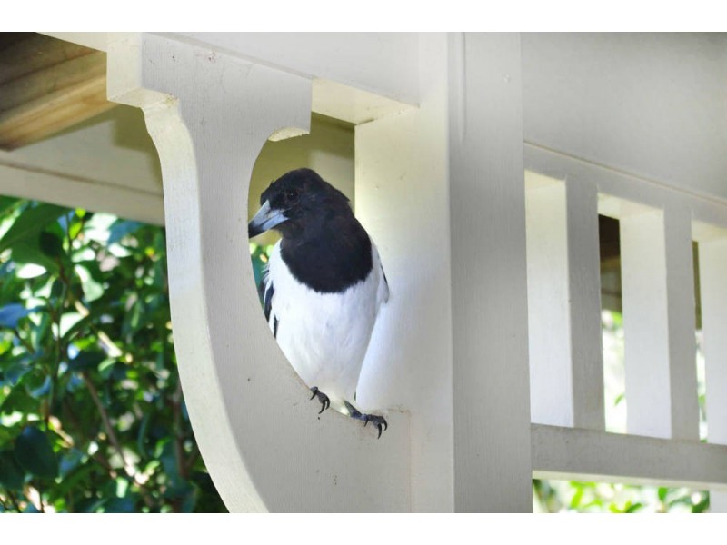 26 Oakflat Close, Old Bar NSW 2430