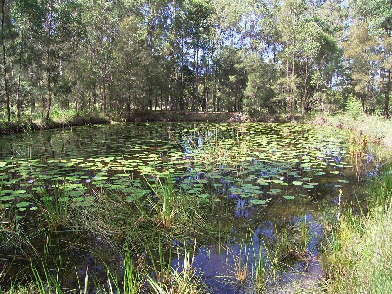 Pampoolah NSW 2430