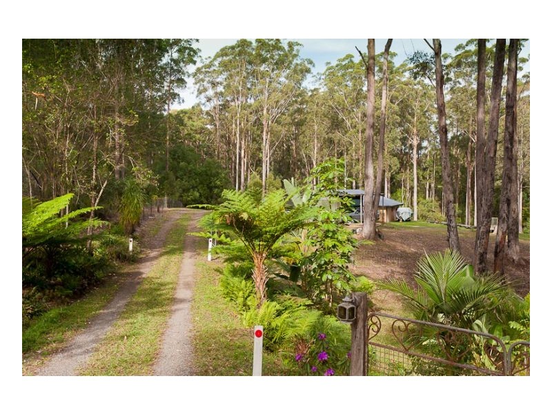 11 Rainforest Drive, Mitchells Island NSW 2430