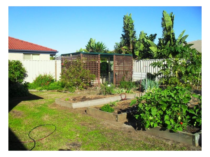 18 Albatross Way, Old Bar NSW 2430