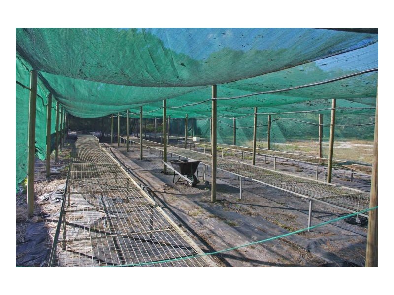 201 Beach Road, Mitchells Island NSW 2430