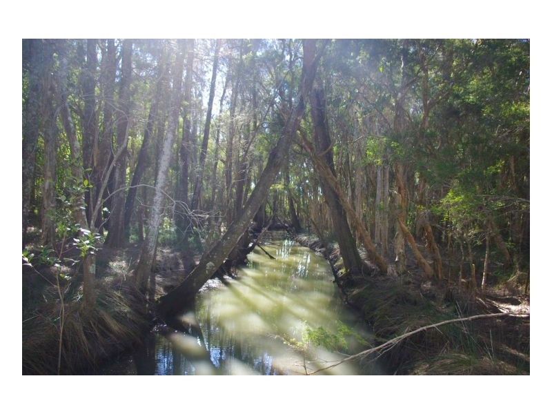 535 Old Bar Road, Old Bar NSW 2430