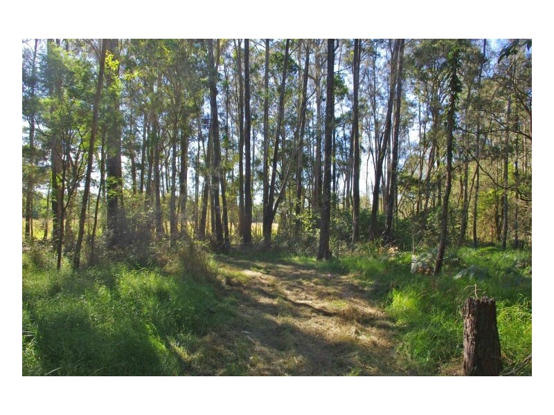 535 Old Bar Road, Old Bar NSW 2430