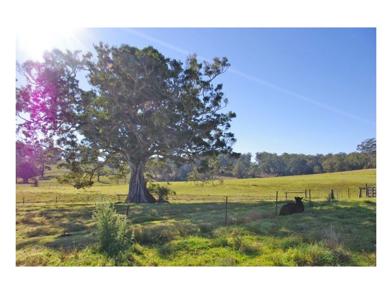 89 Factory Road, Mitchells Island NSW 2430