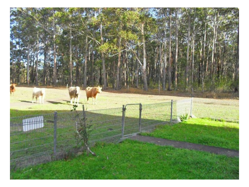 239 Warwiba Road, Old Bar NSW 2430